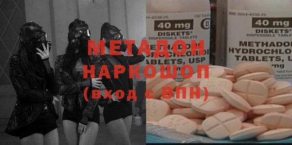шишки Абаза