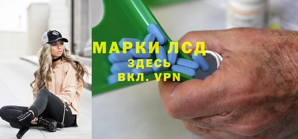 шишки Абаза