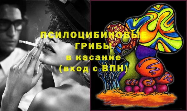 шишки Абаза
