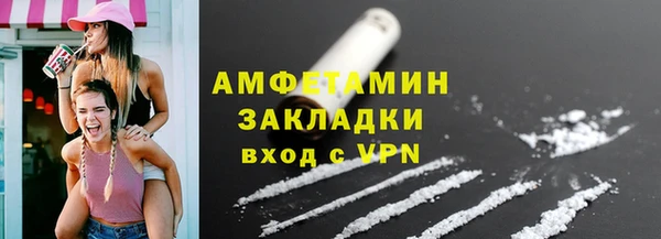 шишки Абаза