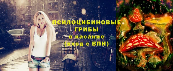 шишки Абаза
