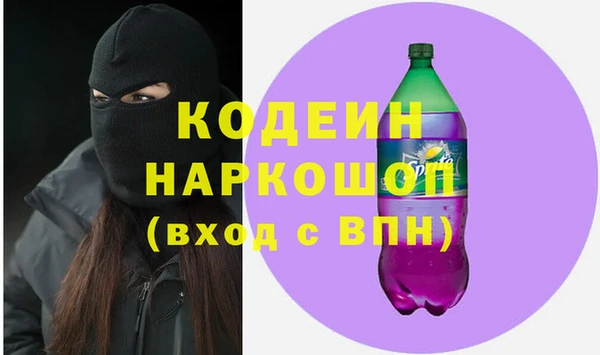 шишки Абаза