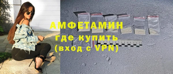 шишки Абаза