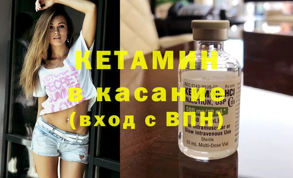 шишки Абаза