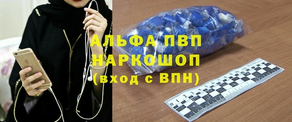 шишки Абаза