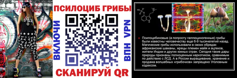 Псилоцибиновые грибы прущие грибы  где можно купить наркотик  дарк нет официальный сайт  Среднеколымск 
